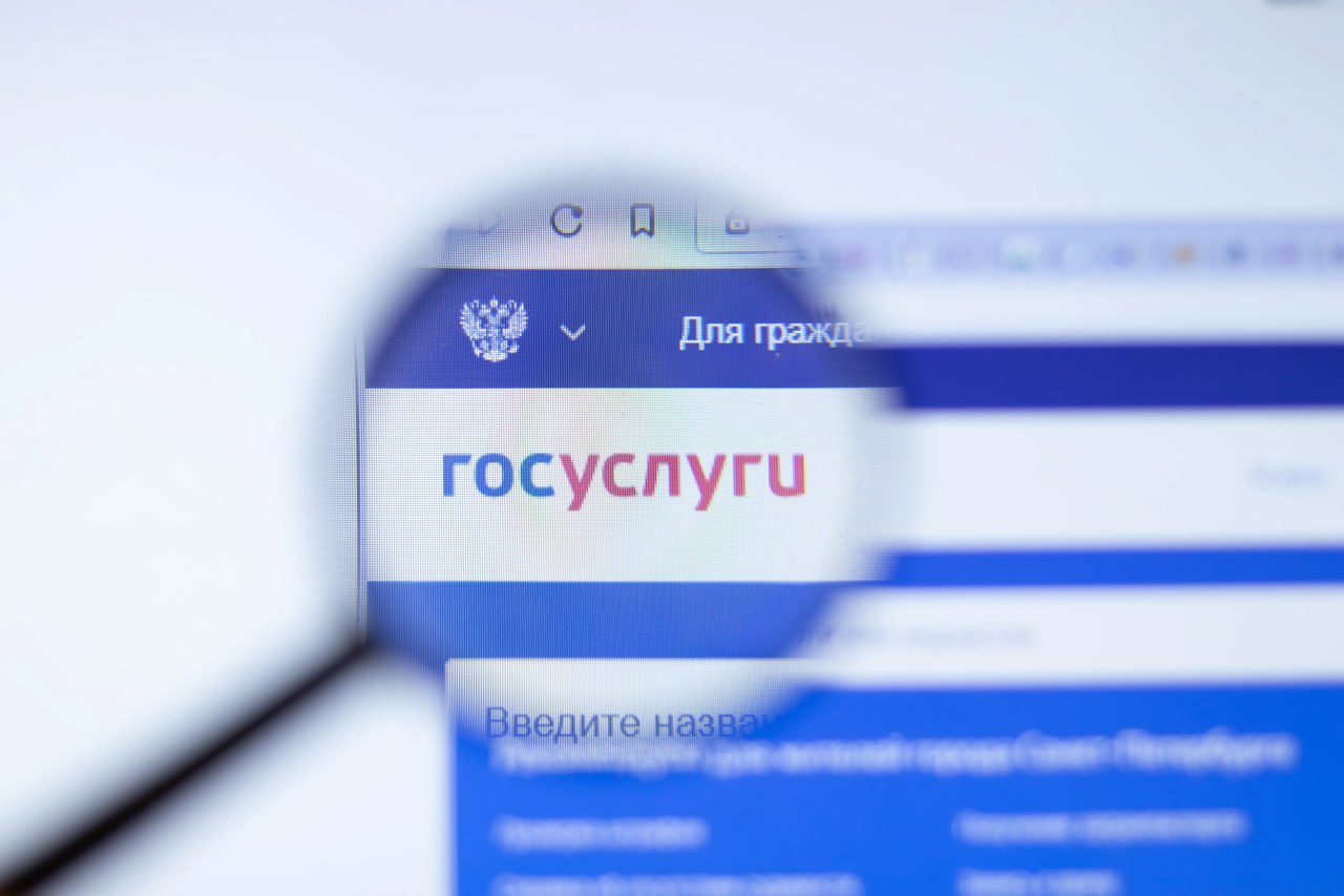 Канал @trueosintобнаружил хакеров, заявивших о публикации в открытом доступе части базы данных портала Госуслуг объемом 12 ГБ
Согласно представленным данным, общий объем утечки составляет 275 миллионо... | Сетка — социальная сеть от hh.ru