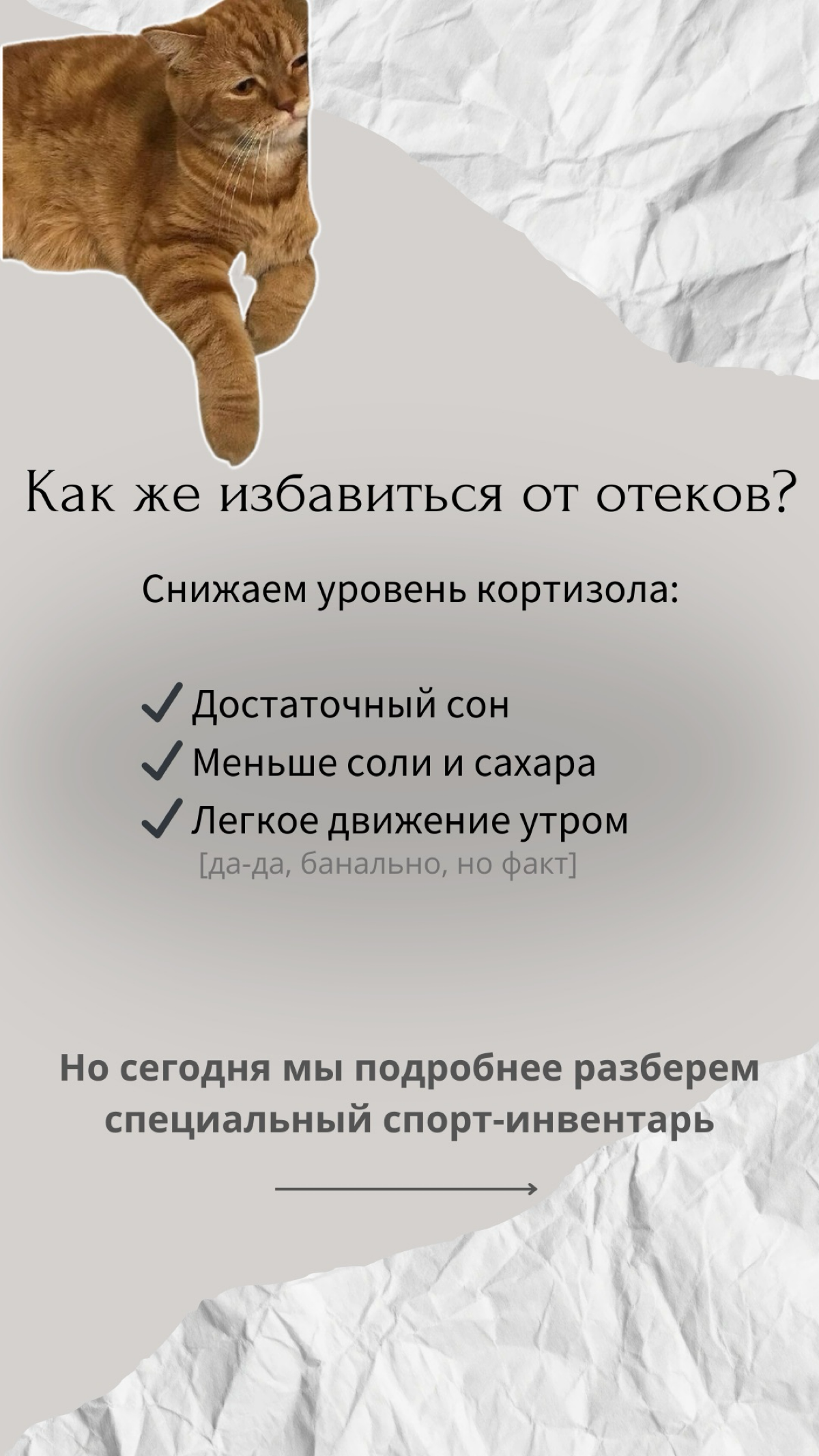 Возьмусь за проекты/ ведение SMM ♥️ | Сетка — социальная сеть от hh.ru