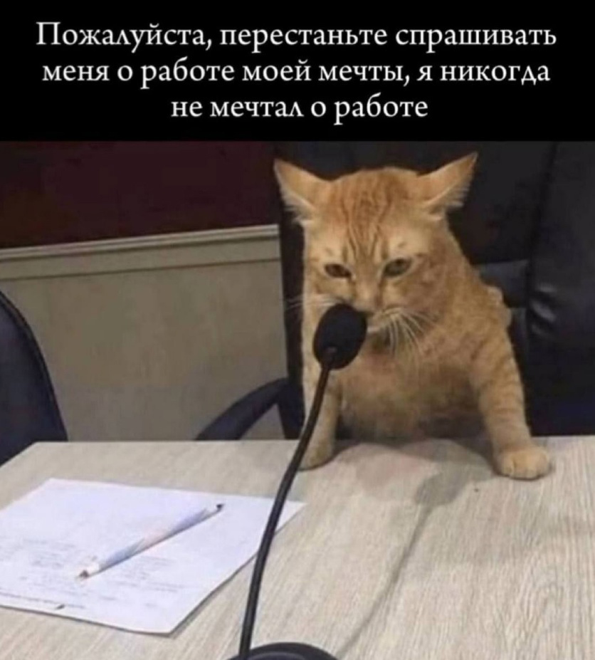 В детстве я мечтала о 3-х видах работы 
 
1 – женой Мэрлина Мэнсона (я посмотрела его интервью и он мне показался очень умным, а также мне нравились песни) 
 
2 – певицей в группе «ВИА Гра» 
 
3 – в о... | Сетка — социальная сеть от hh.ru