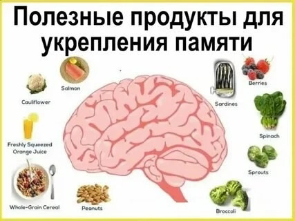 🌿МИКРОЗЕЛЕНЬ УЛУЧШЕНИЕ ПАМЯТИ | Сетка — социальная сеть от hh.ru