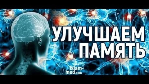 🌿МИКРОЗЕЛЕНЬ УЛУЧШЕНИЕ ПАМЯТИ | Сетка — социальная сеть от hh.ru