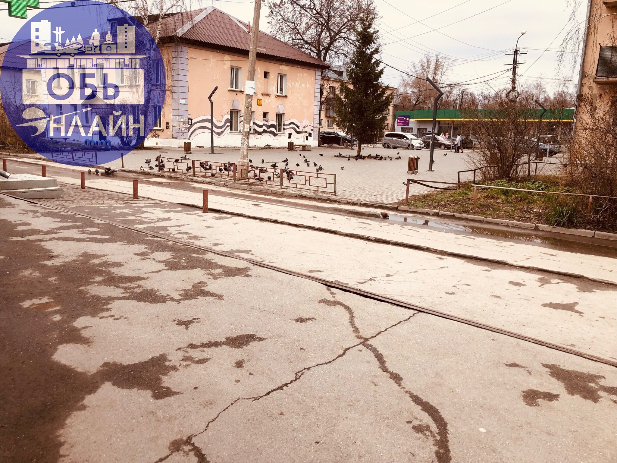 ↗ Уважение к птицам это хорошо. Забота о крылатых тоже отлично. Почти центр города - улица М.Горького, где зимой стояла елка. Вокруг много социальных объектов | Сетка — социальная сеть от hh.ru