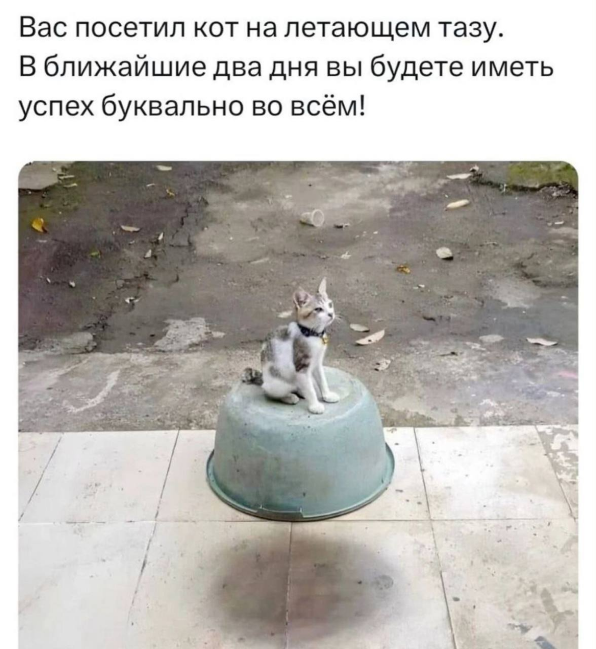 Всем, перед кем стоят задачи: | Сетка — социальная сеть от hh.ru