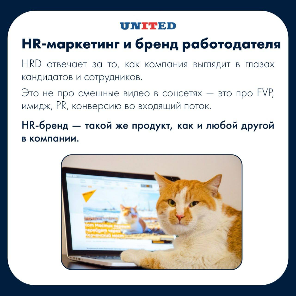 Хочешь стать HRD или уже им являешься? | Сетка — социальная сеть от hh.ru