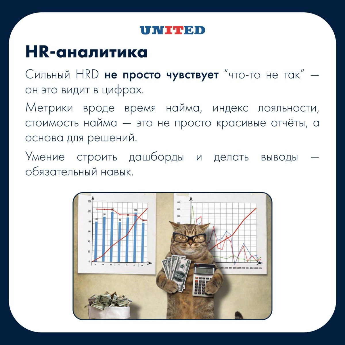 Хочешь стать HRD или уже им являешься? | Сетка — социальная сеть от hh.ru