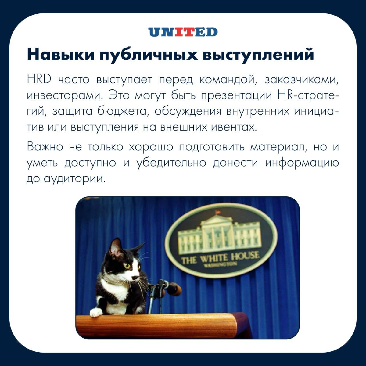 Хочешь стать HRD или уже им являешься? | Сетка — социальная сеть от hh.ru