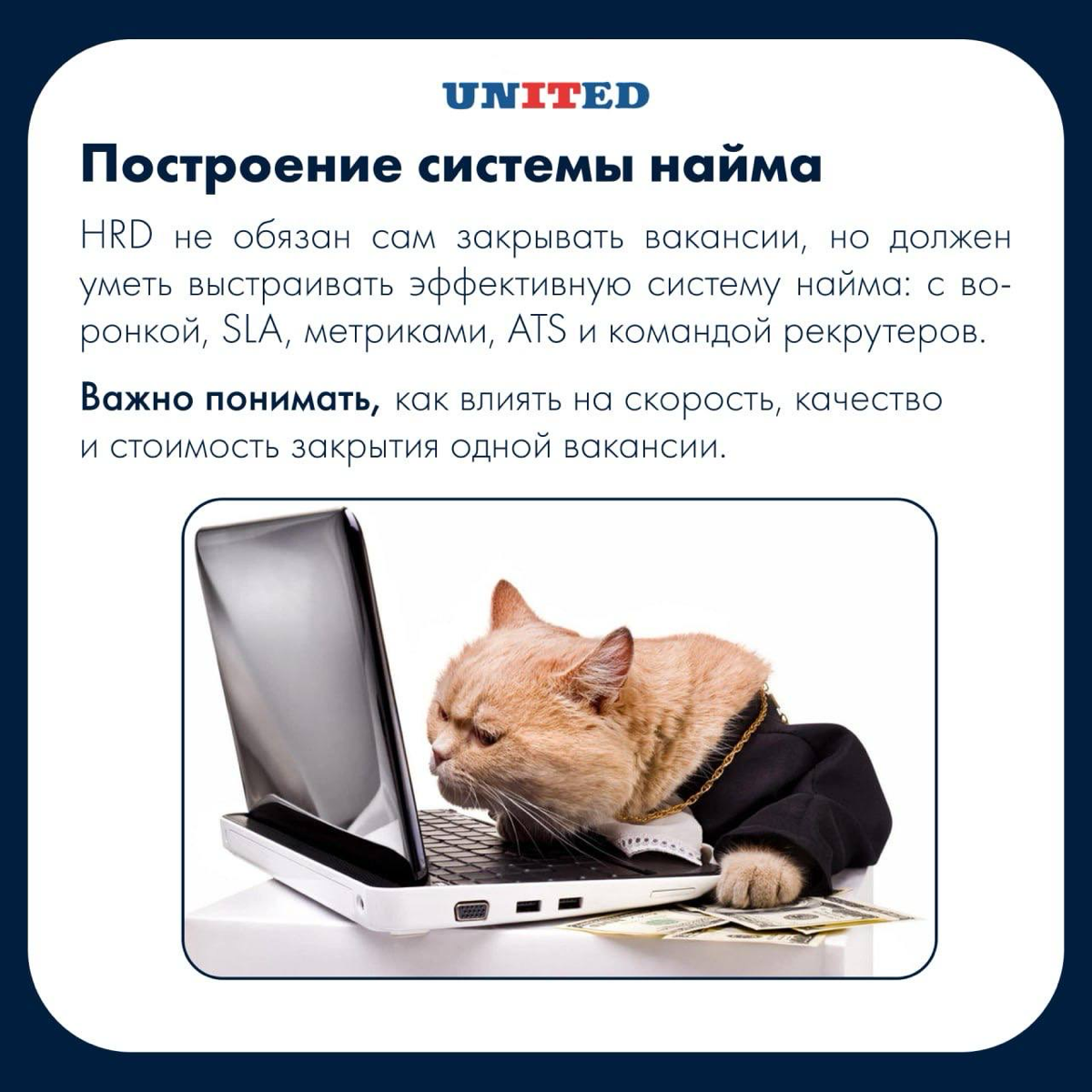 Хочешь стать HRD или уже им являешься? | Сетка — социальная сеть от hh.ru