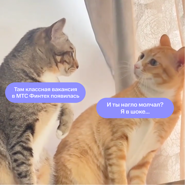 Беспредел… | Сетка — социальная сеть от hh.ru