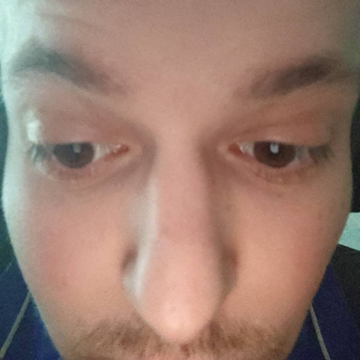 Романенка Траблович | Сетка — социальная сеть от hh.ru