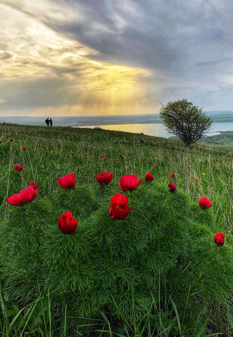 Сенгилеевское водохранилище за несколько минут до грозы
📸Артём Мелетов | Сетка — социальная сеть от hh.ru