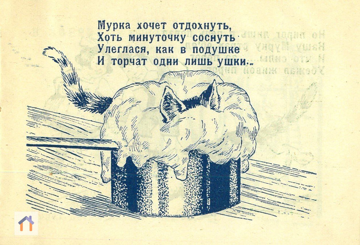 Кошка в тесте!
"Мурка в тесте", стихи детей дошк. возраста, 1928 г. | Сетка — социальная сеть от hh.ru
