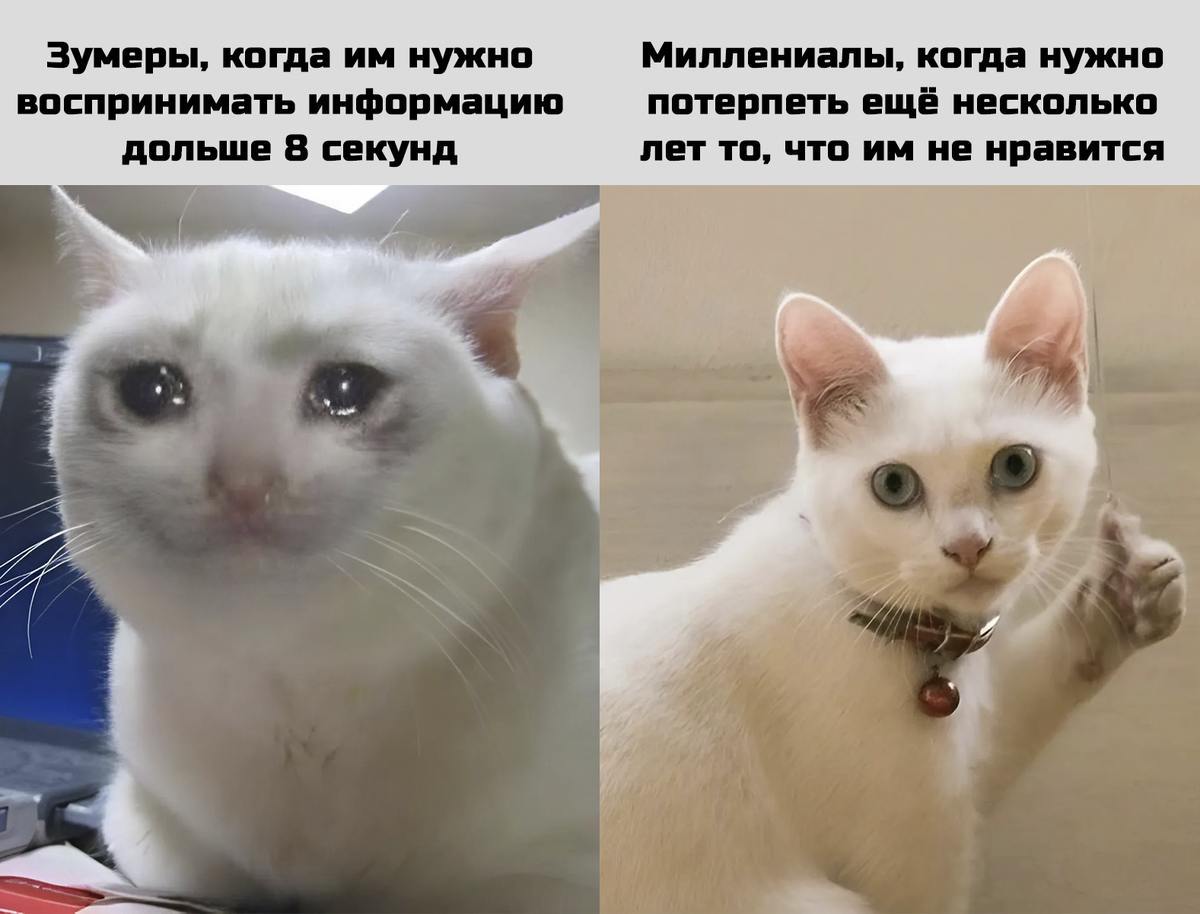 Как работать с зумерами
Если честно надоело отовсюду слушать бред про зумеров. То они не знают что такое сроки и ответственность | Сетка — социальная сеть от hh.ru
