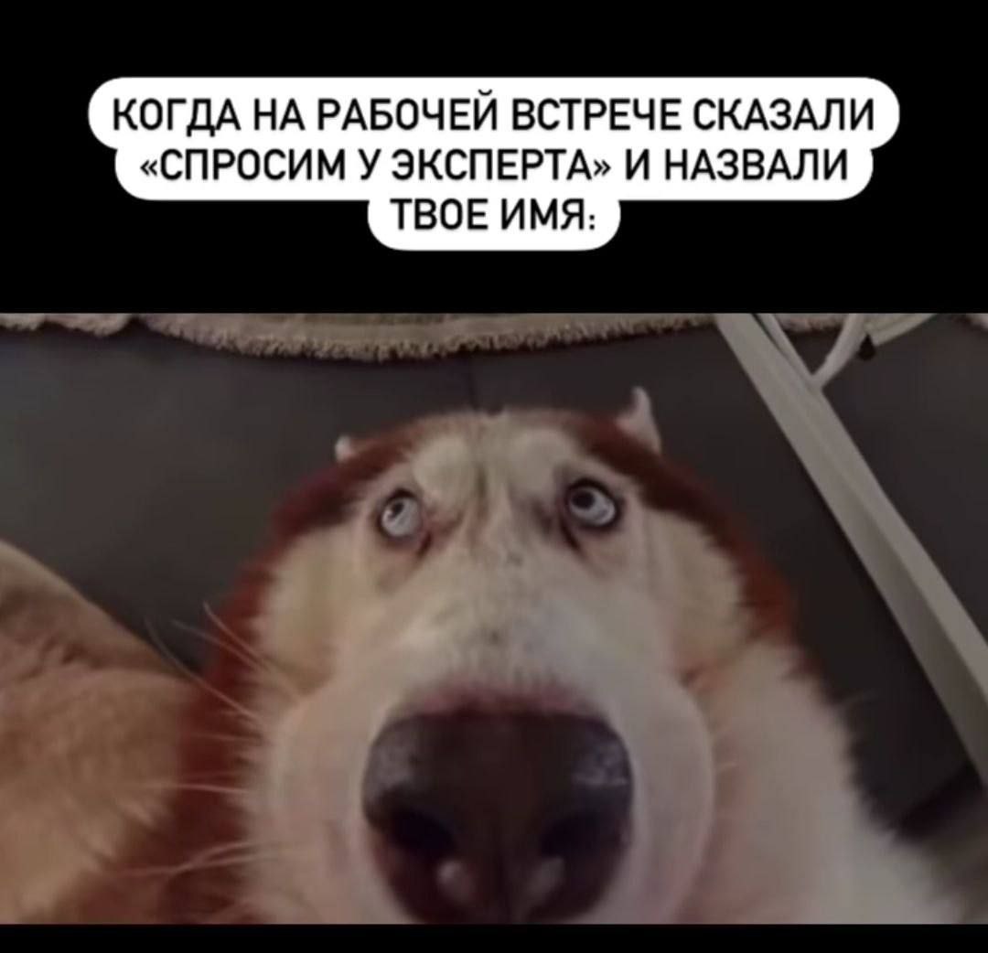 #IT
😂 Твой Пакет Мемов
🛍 Другие каналы | Сетка — социальная сеть от hh.ru