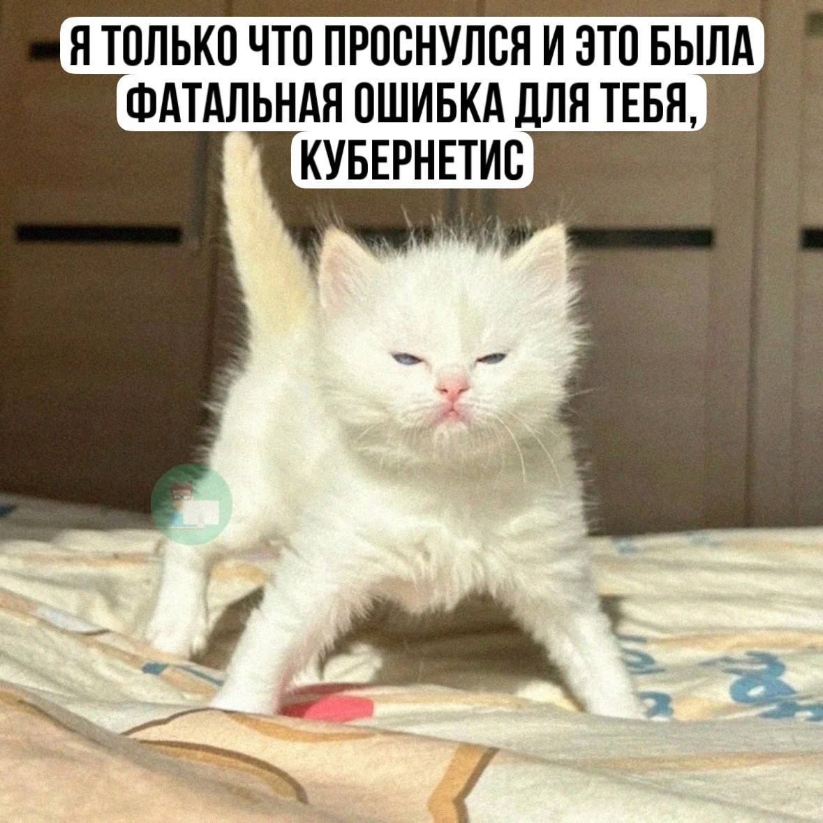 тот старый не нашел, но нашел какой то новый | Сетка — социальная сеть от hh.ru