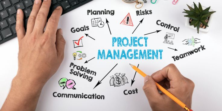 Knowledge of foreign languages in project management. | Сетка — социальная сеть от hh.ru