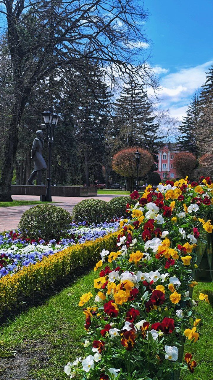 🌷Цветущий Ставрополь
📸 777prostoirina777 | Сетка — социальная сеть от hh.ru