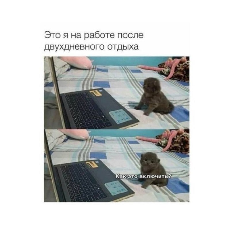 Мы здесь, чтобы поднять вам настроение 💚 | Сетка — социальная сеть от hh.ru