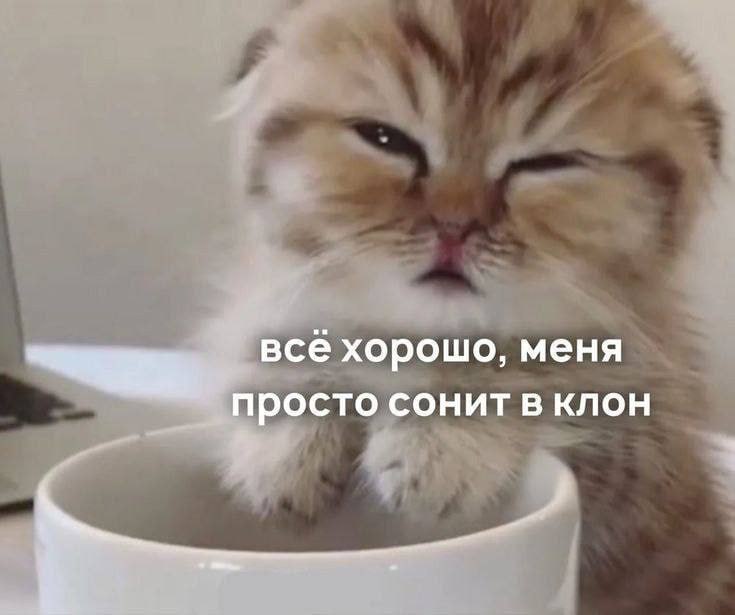 Ого, уже 2 часа дня 💀 | Сетка — социальная сеть от hh.ru