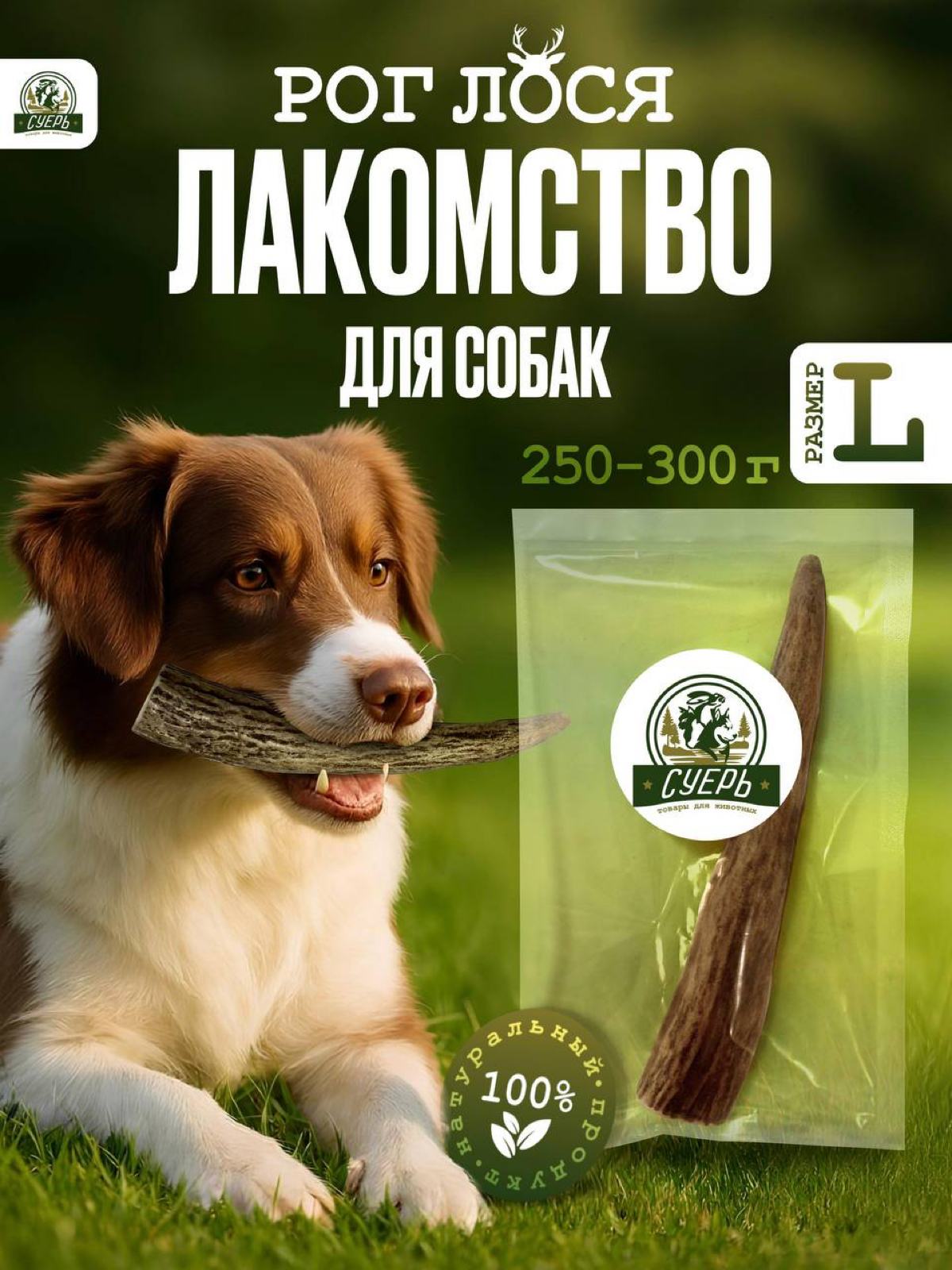 Инфографика для товара “Лакомство для собак” | Сетка — социальная сеть от hh.ru