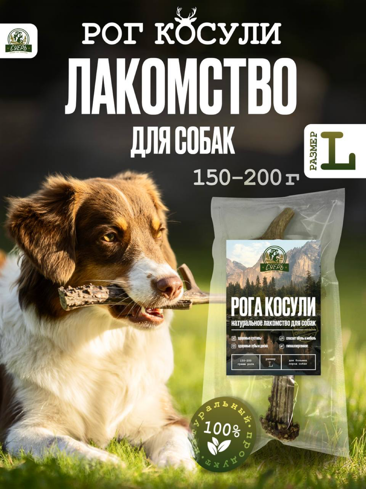 Инфографика для товара “Лакомство для собак” | Сетка — социальная сеть от hh.ru