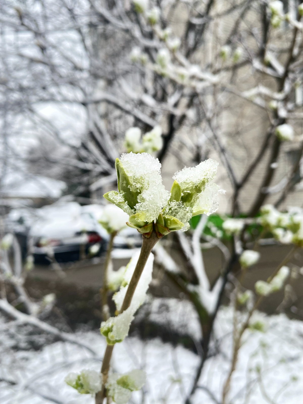Весна красна | Сетка — социальная сеть от hh.ru