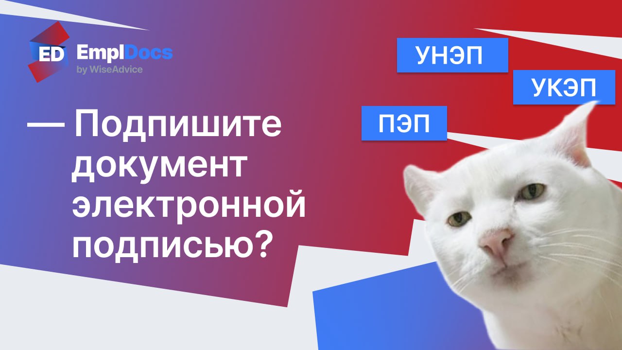 ✍️  Какие документы можно подписывать в КЭДО, а какие — только на бумаге?
Практически все кадровые документы можно оформлять и подписывать в системе КЭДО через электронную подпись (ЭП), что предусмотр... | Сетка — социальная сеть от hh.ru