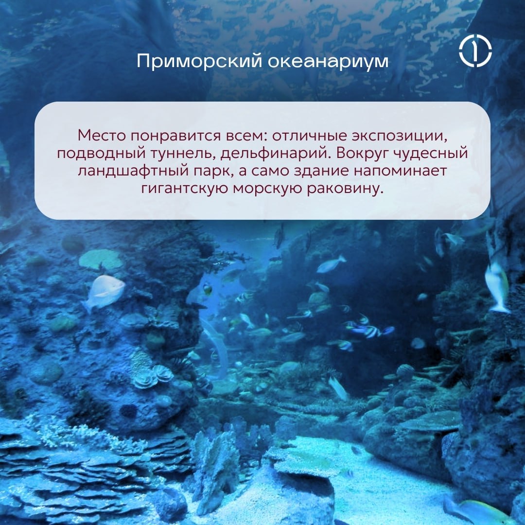 🛍 Где в России появился первый универмаг?
Не в Москве и не в Петербурге, как вы могли подумать! В 1884 году торговый дом «Кунст и Альберс» открыл во Владивостоке первый в России универмаг | Сетка — социальная сеть от hh.ru