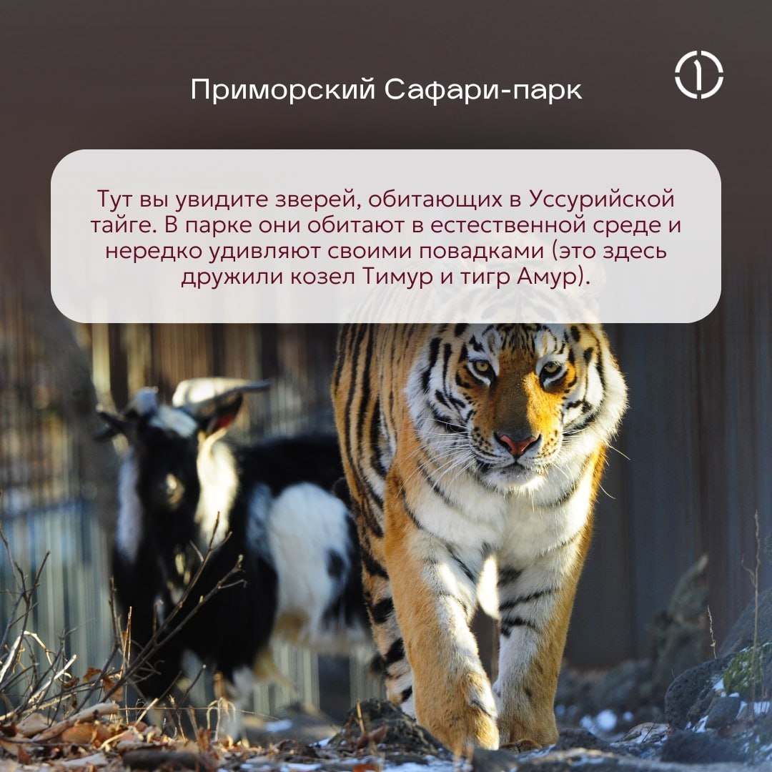 🛍 Где в России появился первый универмаг?
Не в Москве и не в Петербурге, как вы могли подумать! В 1884 году торговый дом «Кунст и Альберс» открыл во Владивостоке первый в России универмаг | Сетка — социальная сеть от hh.ru