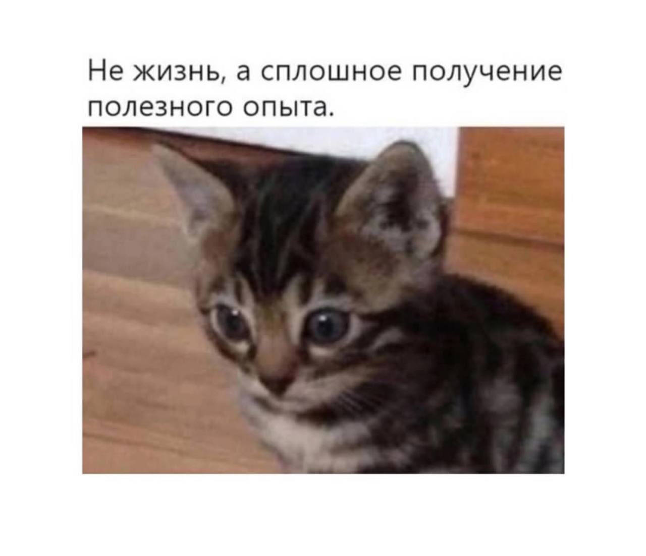 Я даже не могу подыскать более подходящую картину для отображения сегодняшнего рабочего дня.
Три раза хотела взять дей офф на завтра, но тендерные расчеты сами себя не сделают | Сетка — социальная сеть от hh.ru