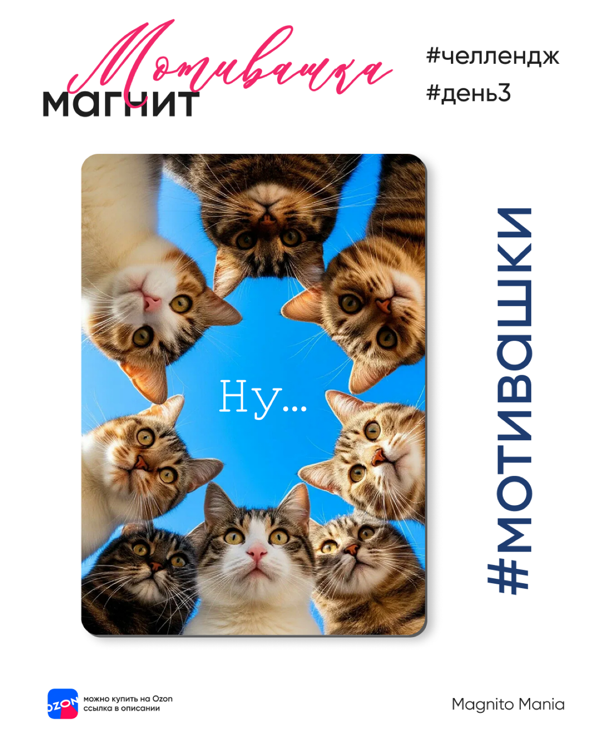 #магнитик каждый день | Сетка — социальная сеть от hh.ru