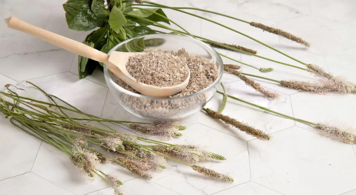 🌾*Псиллиум — супергерой среди клетчатки или очередной ЗОЖ-фетиш?
Если ты когда-нибудь гуглил "что съесть, чтобы живот не был как барабан", то, скорее всего, наткнулся на псиллиум | Сетка — социальная сеть от hh.ru