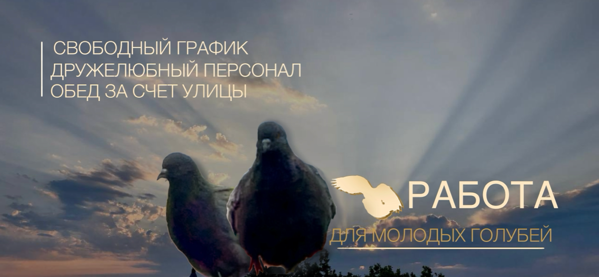 – Меня не принимают на маркетинговый дизайн!
– Покажи свою работу.
–Вот- | Сетка — социальная сеть от hh.ru
