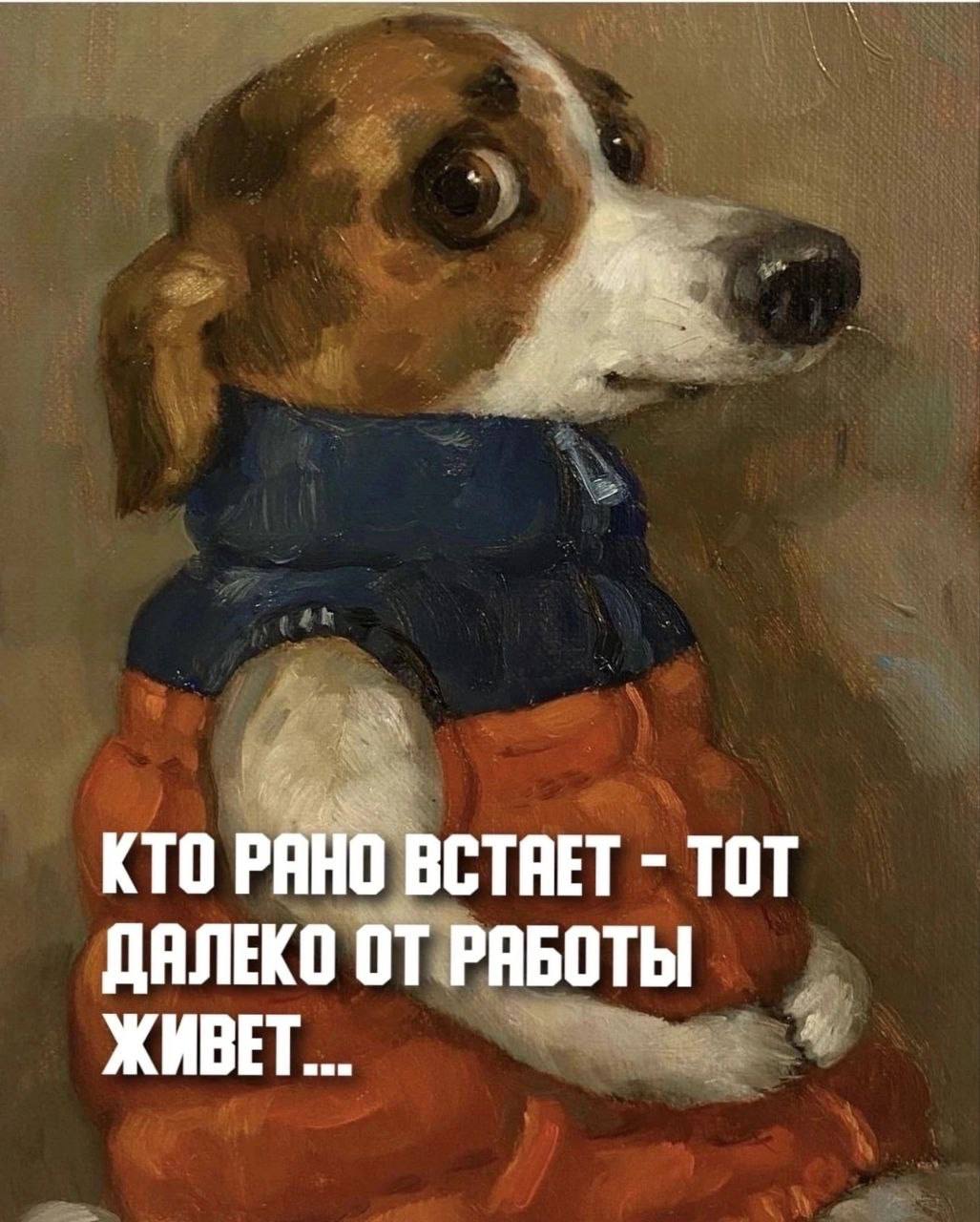 Доброе утро, ставропольцы! | Сетка — социальная сеть от hh.ru