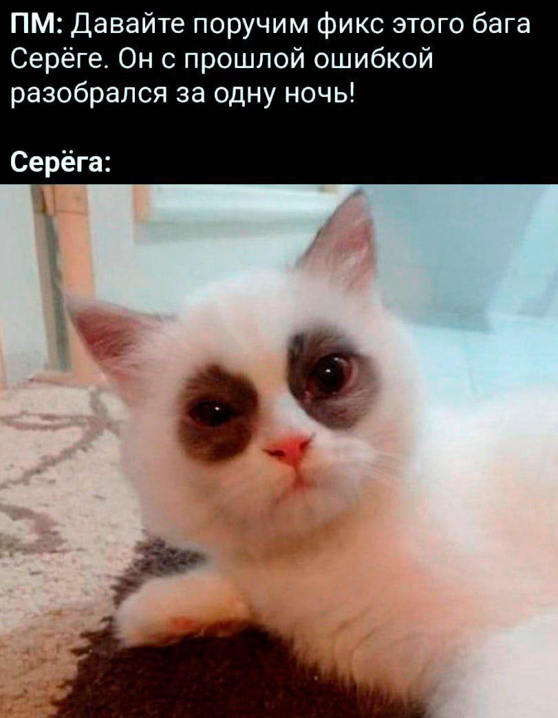 #IT
😂 Твой Пакет Мемов
🛍 Другие каналы | Сетка — социальная сеть от hh.ru