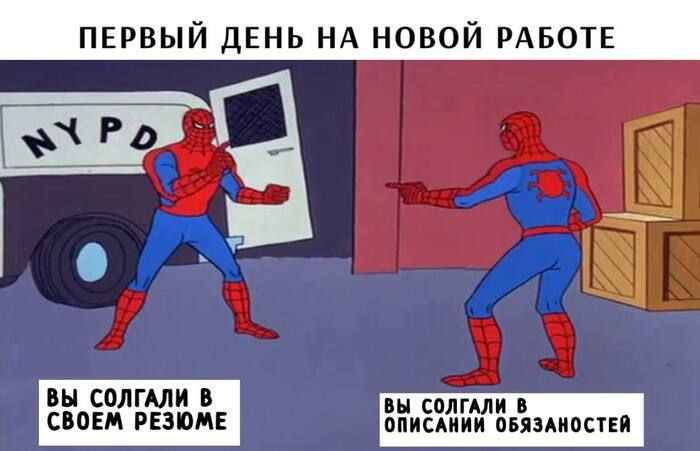 Сетка — социальная сеть от hh.ru