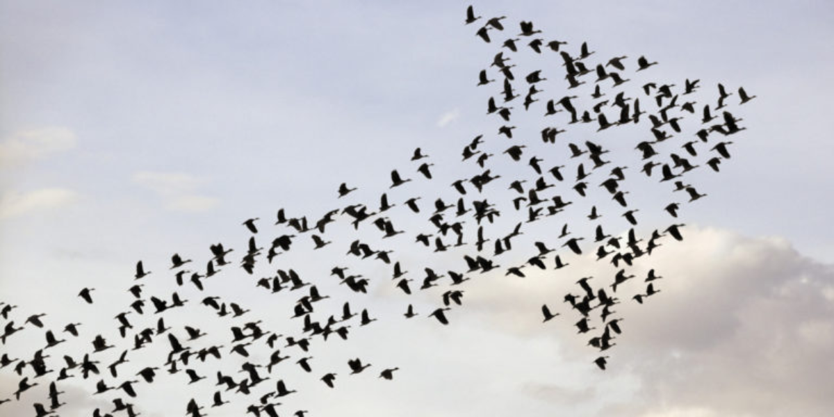 Является ли человек единственным творцом | Сетка — социальная сеть от hh.ru