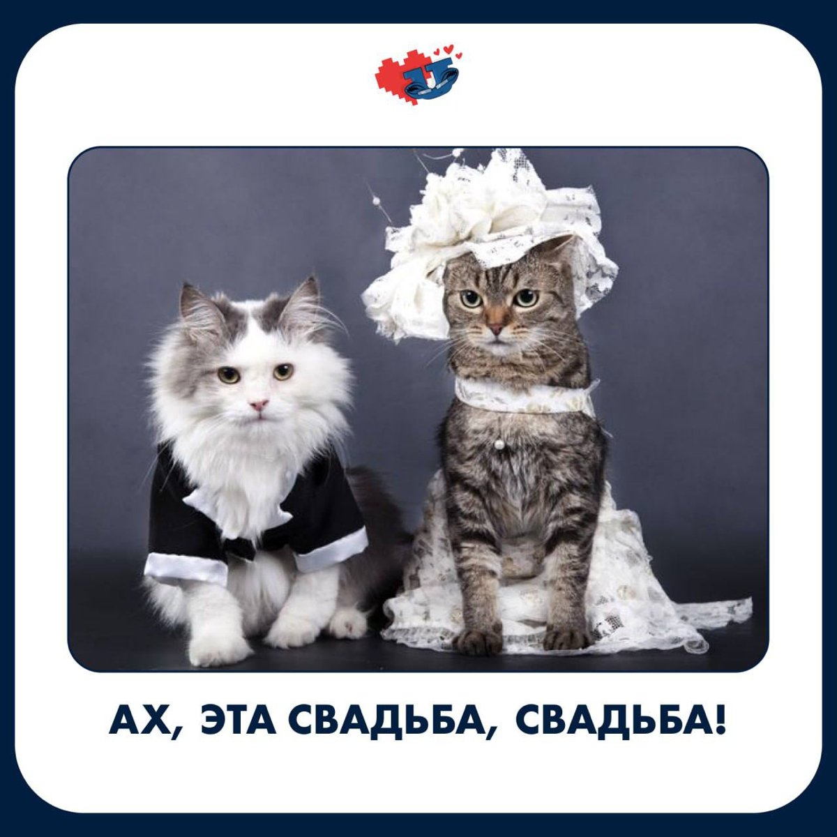 Ах, эта свадьба, свадьба 🎉 | Сетка — социальная сеть от hh.ru