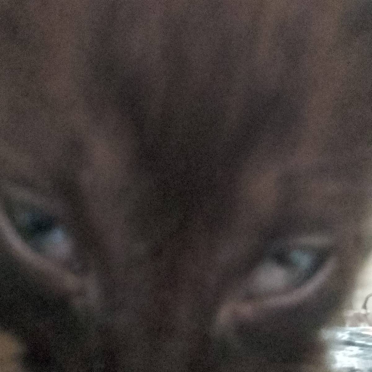 Utghhgf Ggg