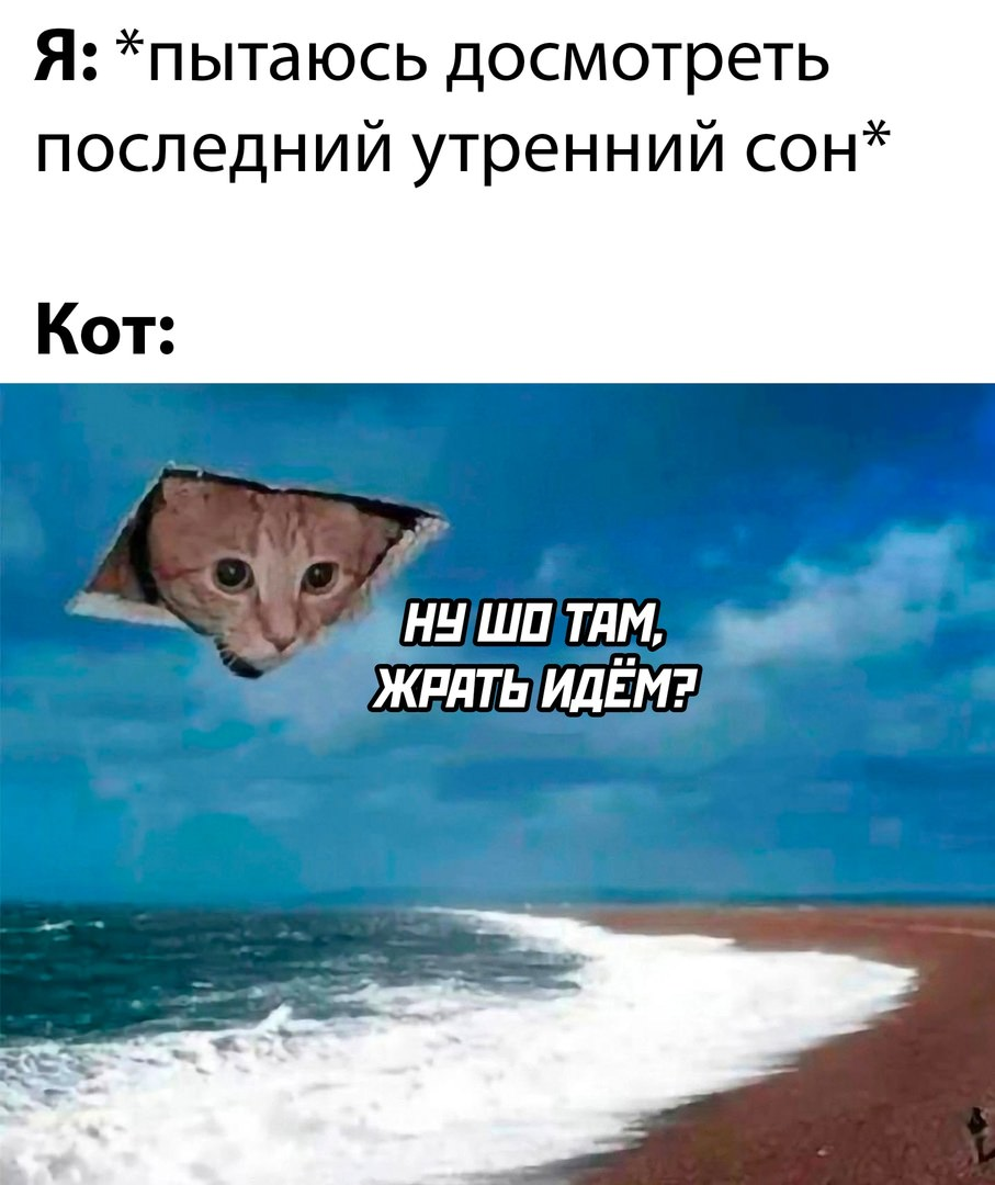 А у вас бывало? | Сетка — социальная сеть от hh.ru