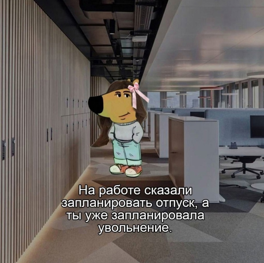 Сетка — социальная сеть от hh.ru