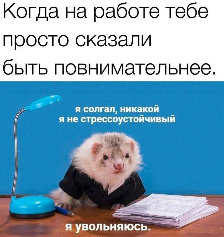 Пятница, время хиханек-хаханек (а не вот это вот всё!!!)🤪
Жду вас в комментах 👇👇👇 | Сетка — социальная сеть от hh.ru