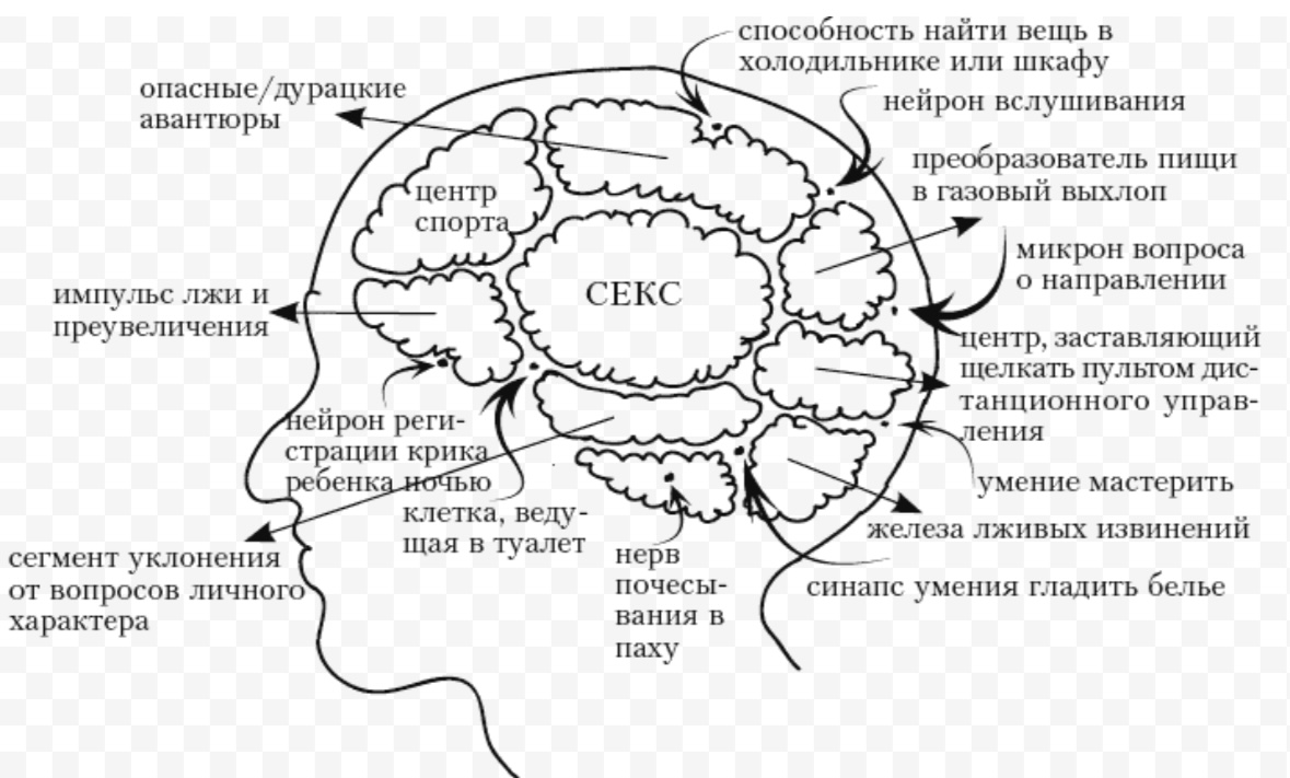 Современные представления о сексуальном поведении | Сетка — социальная сеть от hh.ru
