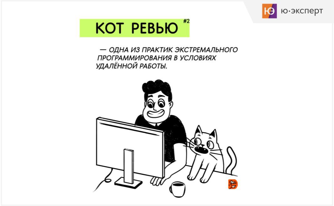 😆 🐈‍⬛ Немного юмора и котиков перед выходными... | Сетка — социальная сеть от hh.ru