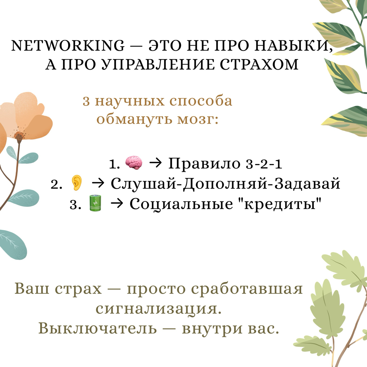 Как не боятся network-aть? 😣 | Сетка — социальная сеть от hh.ru