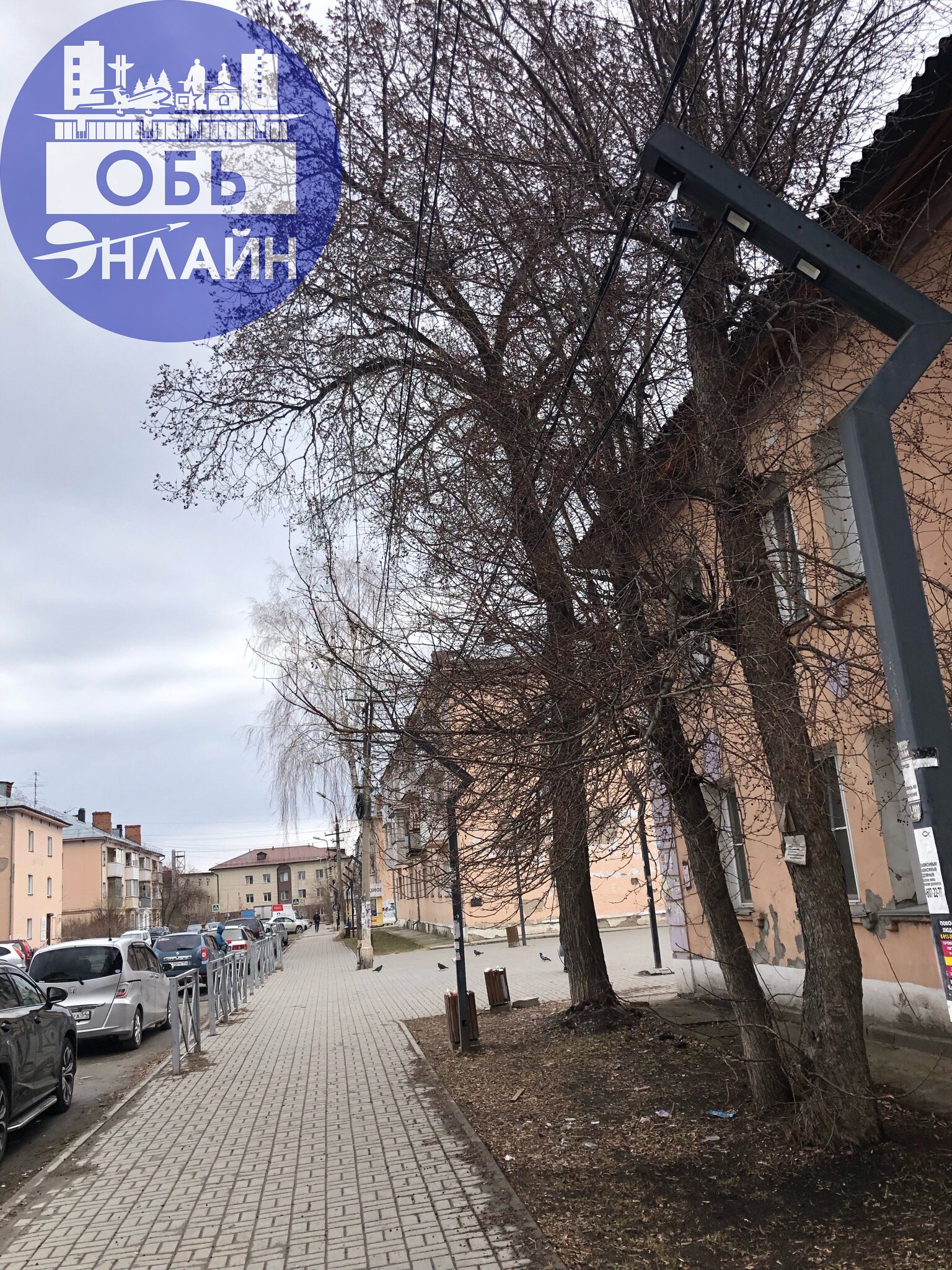 ↗ Неужели администрация не видит состояние освещения на М.Горького?
Это явно не дети сломали ведь…
vk.com
Подробнее на https://vk.com/ob.gorod
#городобь #городобьонлайн #толмачево | Сетка — социальная сеть от hh.ru
