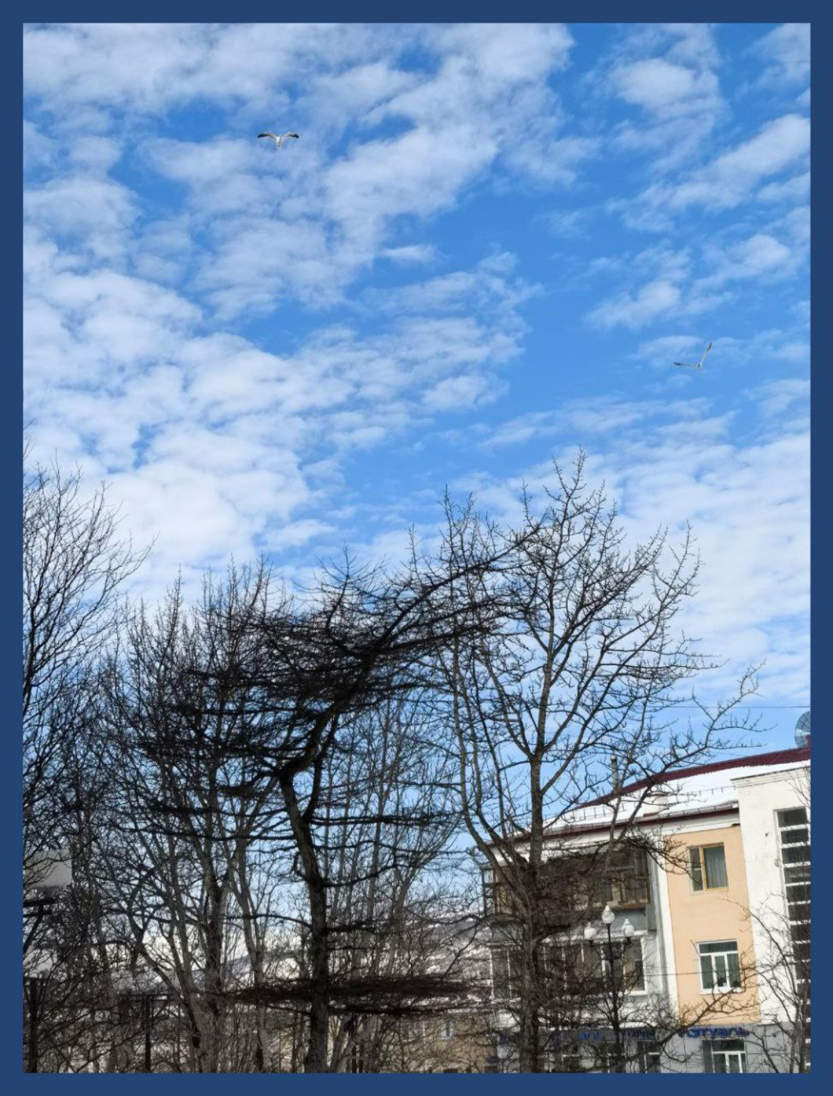 Магаданское небо засасывает / Magadan Sky suck one in | Сетка — социальная сеть от hh.ru