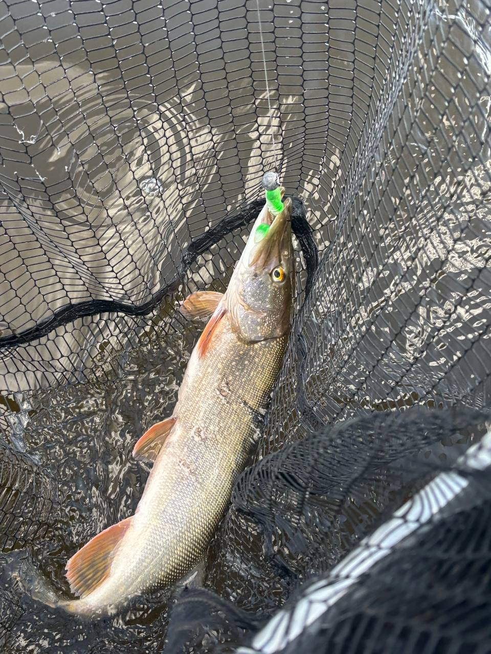 Открытие летнего сезона 🎣🔥
Всем привет друзья! Сегодня произошло спонтанное и долгожданное открытие летнего сезона. После небольшого перерыва, снова возвращаемся на водоёмы | Сетка — социальная сеть от hh.ru