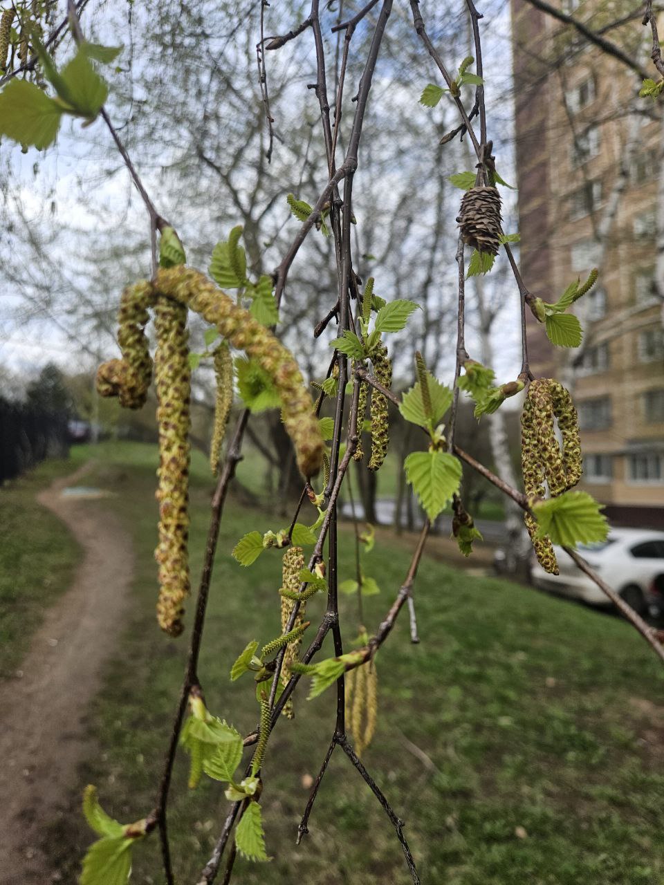 Какая сегодня погода замечательная 🍃 | Сетка — социальная сеть от hh.ru
