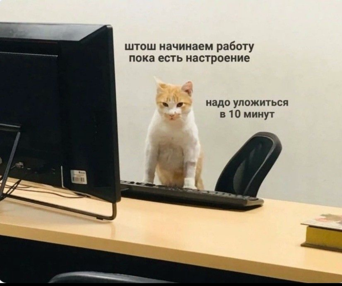 HR Мемы by RFF | Сетка — социальная сеть от hh.ru
