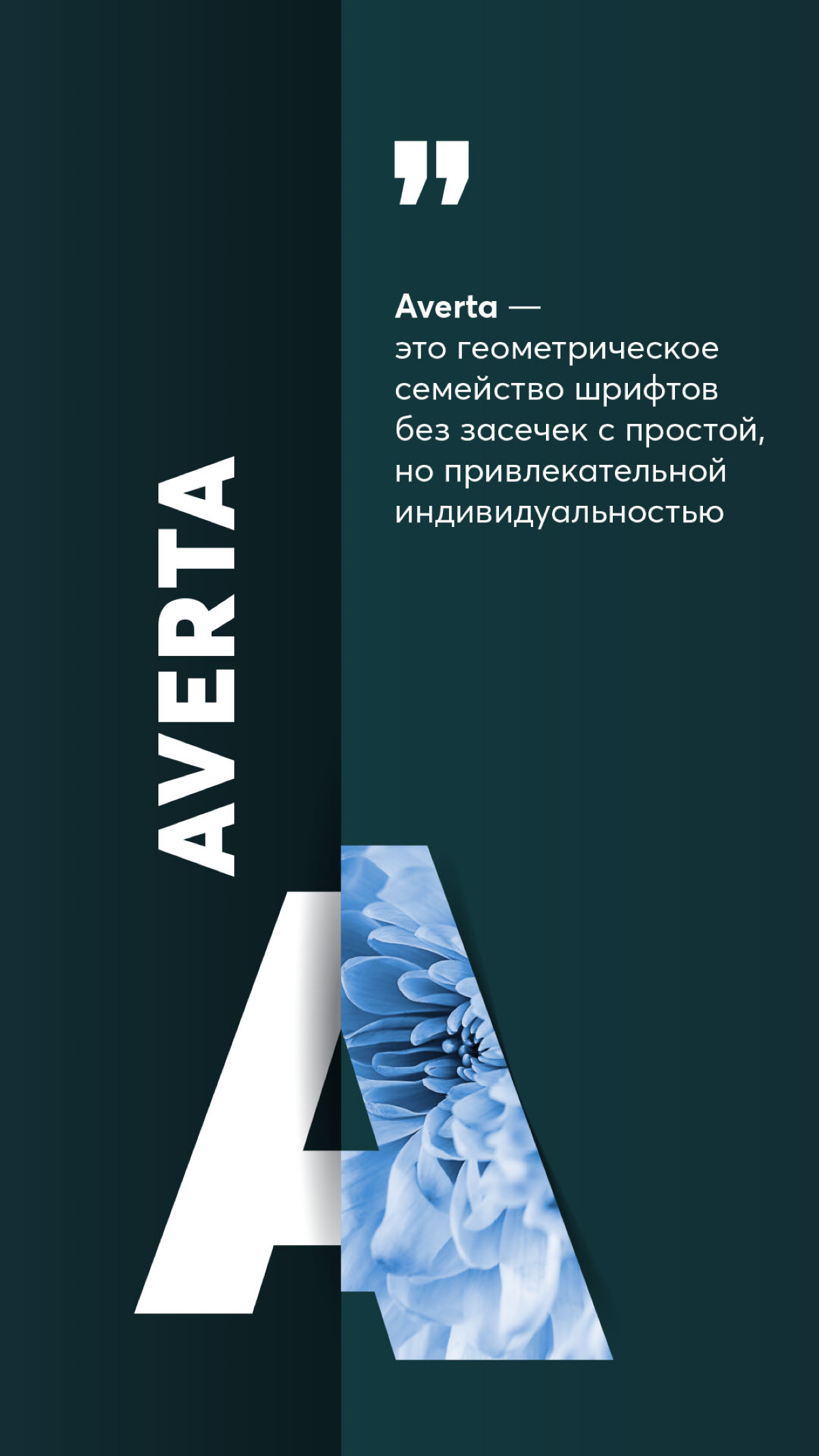 Топ 8 основных шрифтов | Сетка — социальная сеть от hh.ru